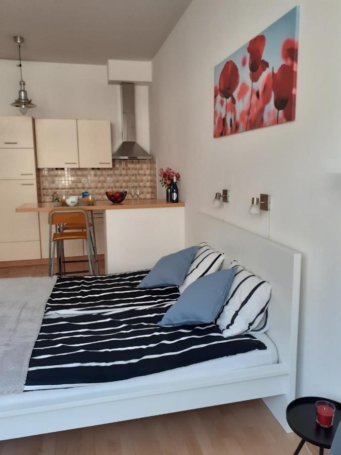 Central Belvedere Apartman 부다페스트 외부 사진